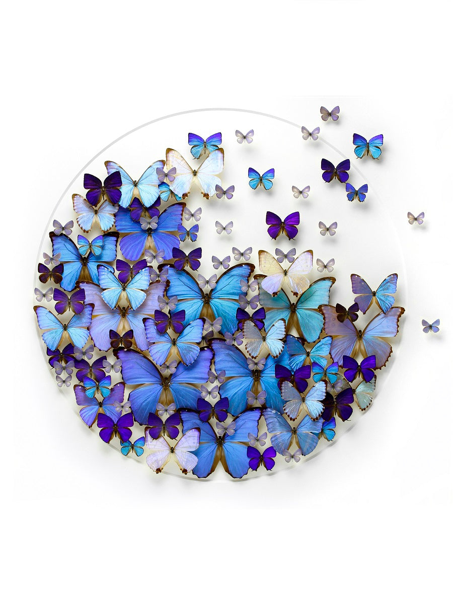 EXQUISITE CREATURES | SPECIAL EDITION WITH SIGNED LIMITED PRINT