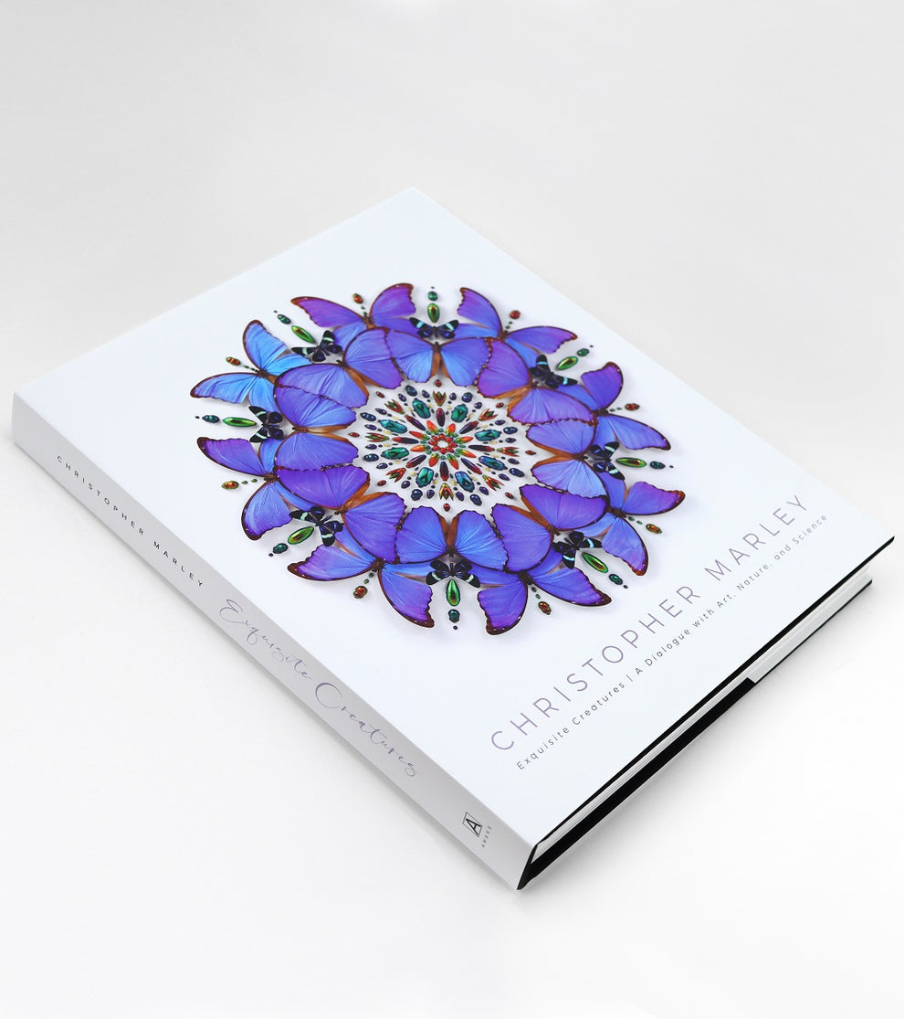 EXQUISITE CREATURES (HARDCOVER) Book | Second Edition – Christopher ...